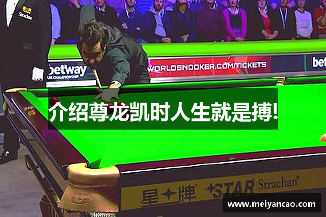 介绍尊龙凯时人生就是搏!